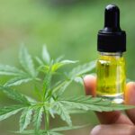 CBD Oil: A promising frontier in helping a Diabetic Patient